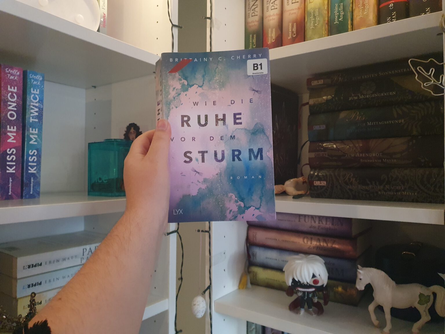 {Rezension} Wie die Ruhe vor dem Sturm Das Bücherwunderland